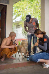 Soi Dog Foundation