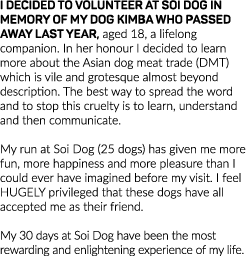 I decided to volunteer at Soi Dog in memory of my dog Kimba who passed away last year, aged 18, a lifelong companion    