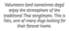 Volunteers (and sometimes dogs) enjoy the atmosphere of the traditional Thai songthaew  This is Toto, one of many dog   