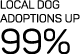 Local dog adoptions up  99%