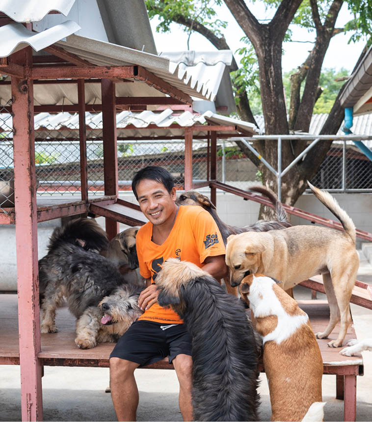 Soi Dog Foundation