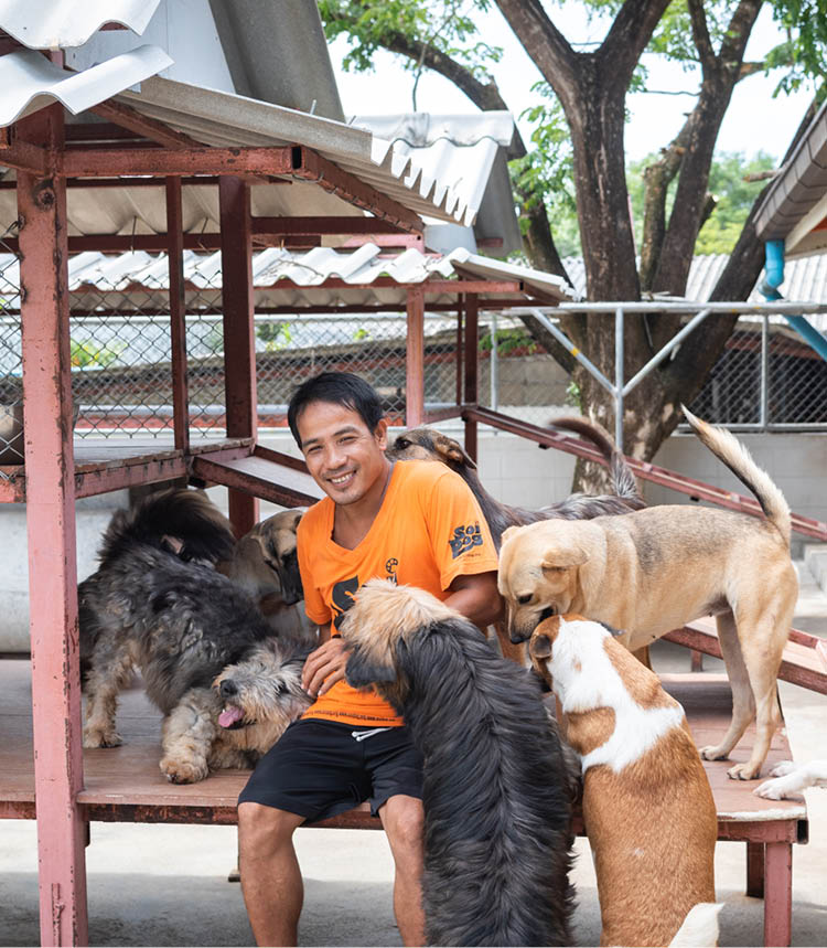 Soi Dog Foundation