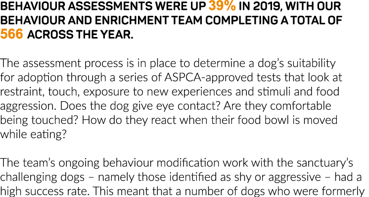 Behaviour assessments were up 39% in 2019, with our Behaviour and Enrichment Team completing a total of 566 across th   