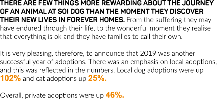 There are few things more rewarding about the journey of an animal at Soi Dog than the moment they discover their new   