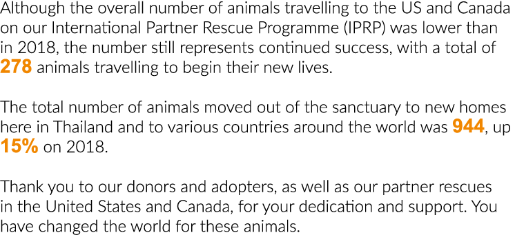 Although the overall number of animals travelling to the US and Canada on our International Partner Rescue Programme    