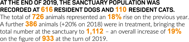 At the end of 2019, the sanctuary population was recorded at 616 resident dogs and 110 resident cats  The total of 72   