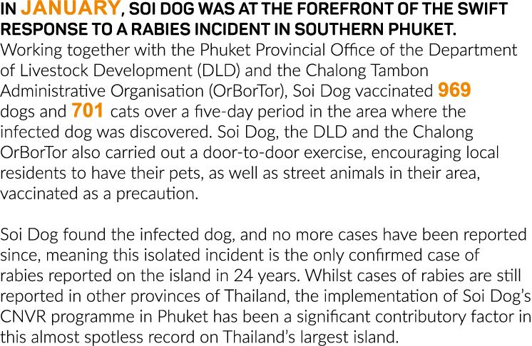 In January, Soi Dog was at the forefront of the swift response to a rabies incident in southern Phuket  Working toget   