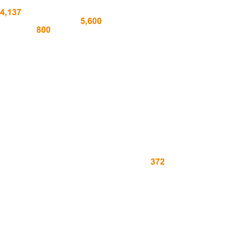 Soi Dog s Community Outreach Programme (COP) treated 4,137 animals around the island of Phuket during 2019  Among the   