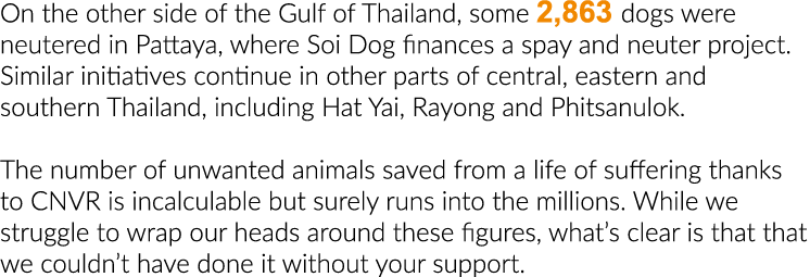 On the other side of the Gulf of Thailand, some 2,863 dogs were neutered in Pattaya, where Soi Dog finances a spay an   