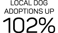 Local dog adoptions up 102%