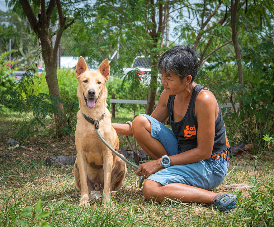 Soi Dog Foundation