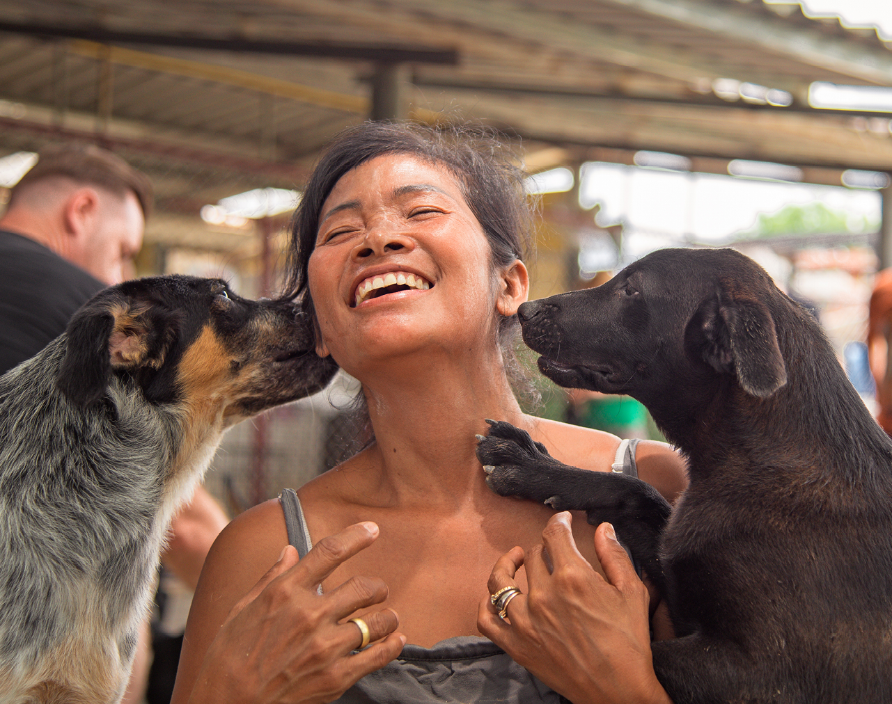 Soi Dog Foundation
