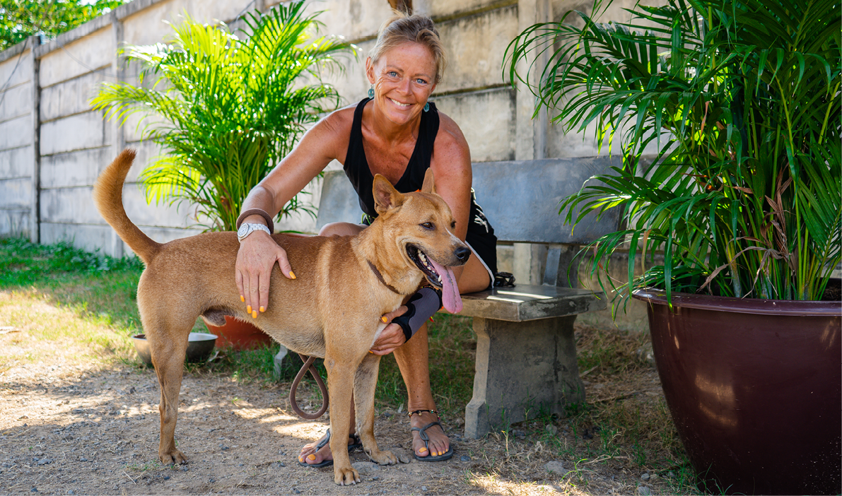 Soi Dog Foundation