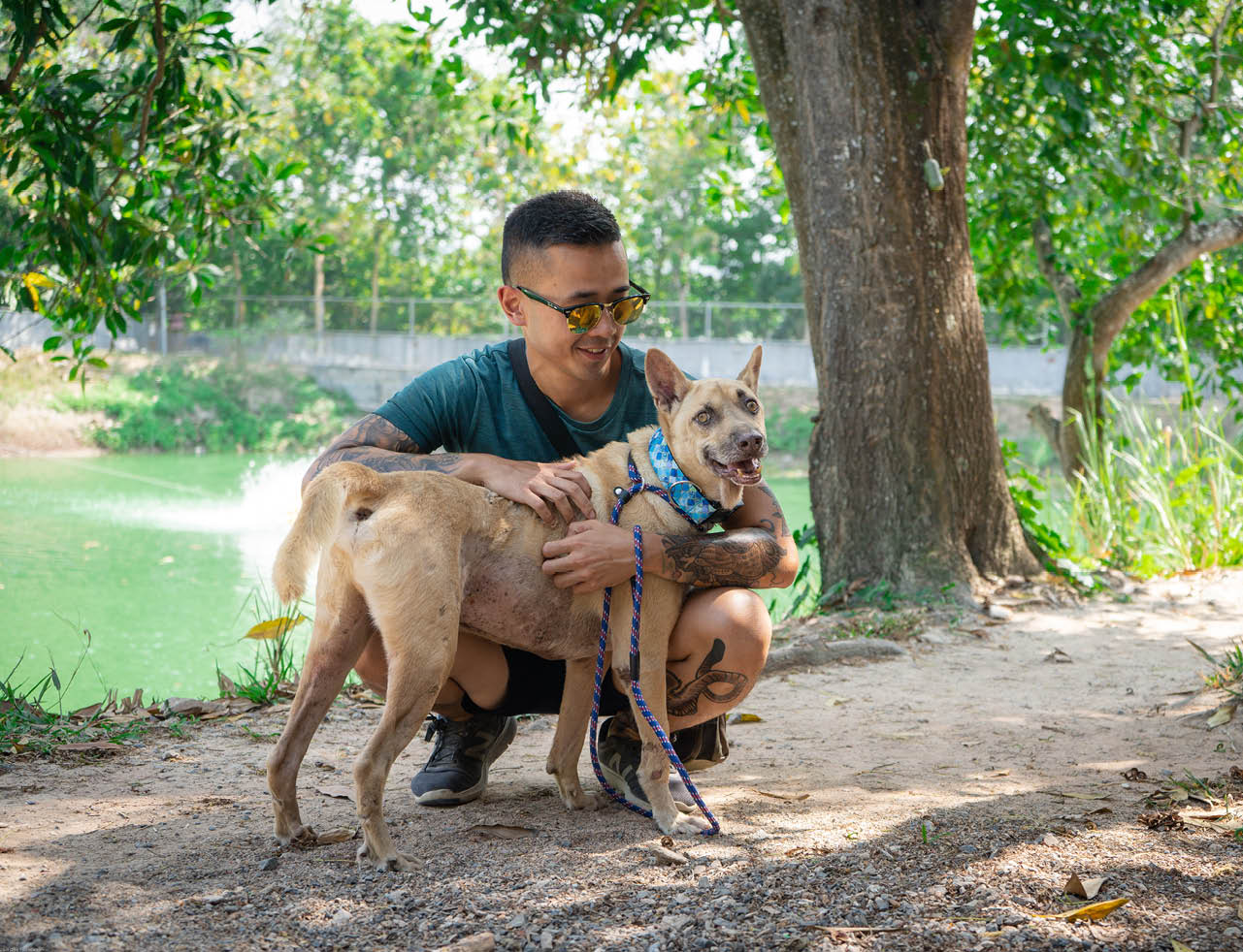 Soi Dog Foundation