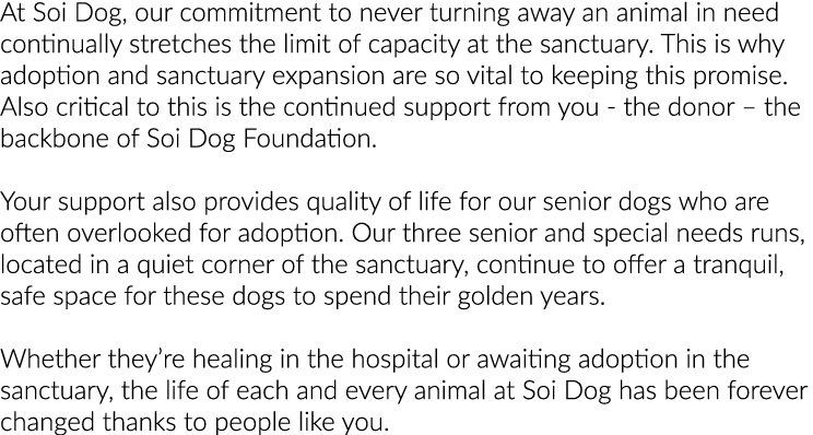 At Soi Dog, our commitment to never turning away an animal in need continually stretches the limit of capacity at the   