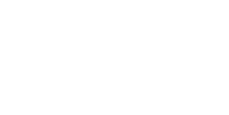 Twinnie and Twinnsie arrived at Soi Dog in 2008 as defenceless puppies who had been cruelly dumped on the streets  Th   