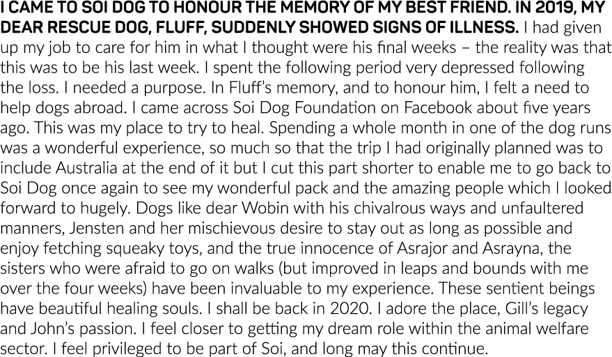 I CAME TO SOI DOG TO HONOUR THE MEMORY OF MY BEST FRIEND  IN 2019, MY DEAR RESCUE DOG, FLUFF, SUDDENLY SHOWED SIGNS O   