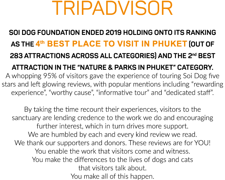 TripAdvisor Soi Dog Foundation ended 2019 holding onto its ranking as the 4th best place to visit in Phuket (out of 2   