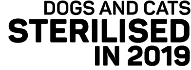 Dogs and Cats sterilised in 2019