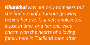 Khunkhai was not only homeless but she had a painful tumour growing behind her eye  Our vets enulceated it just in ti   
