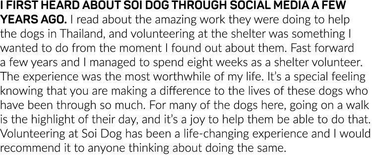 I FIRST HEARD ABOUT SOI DOG THROUGH SOCIAL MEDIA A FEW YEARS AGO  I read about the amazing work they were doing to he   