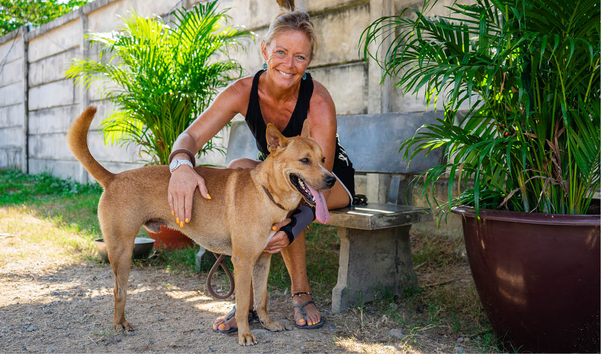 Soi Dog Foundation