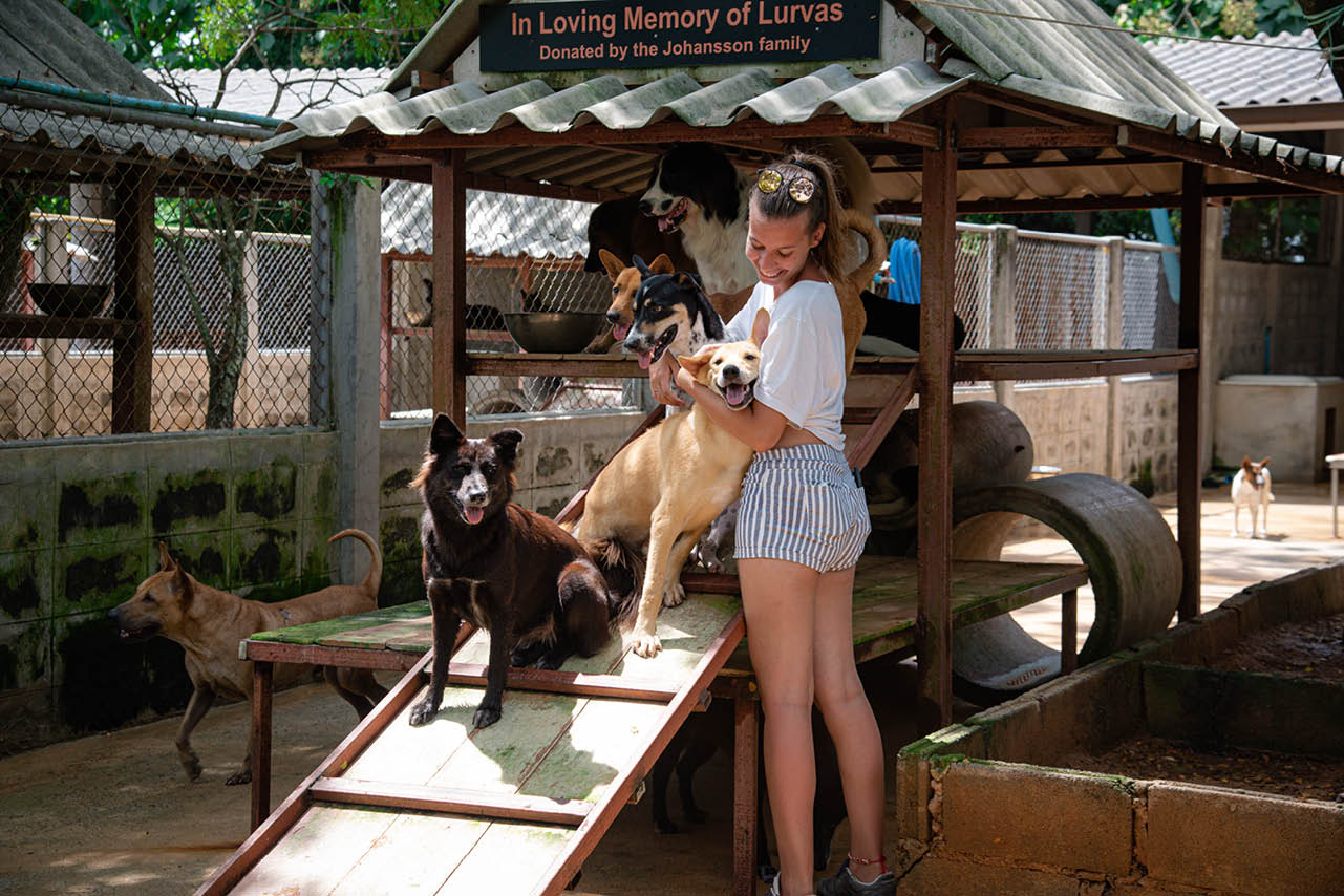 Soi Dog Foundation