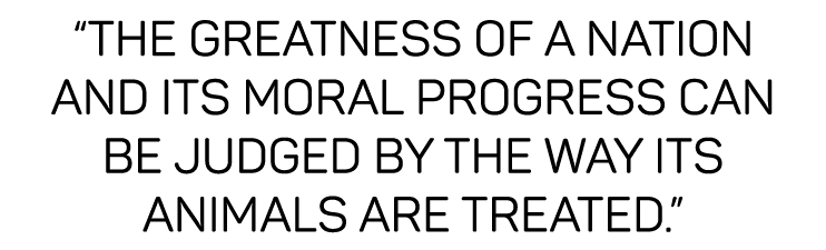  The greatness of a nation and its moral progress can be judged by the way its animals are treated   