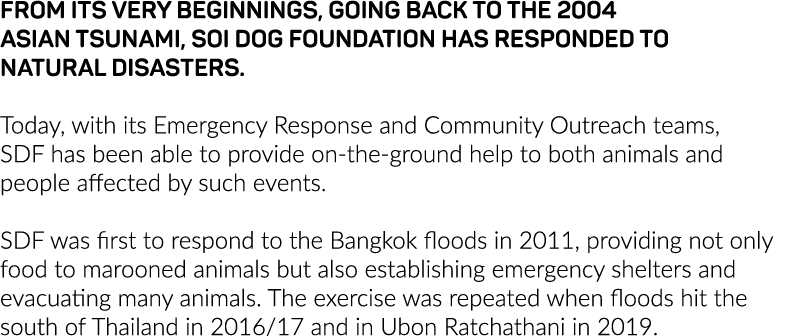 From its very beginnings, going back to the 2004 Asian Tsunami, Soi Dog Foundation has responded to natural disasters   