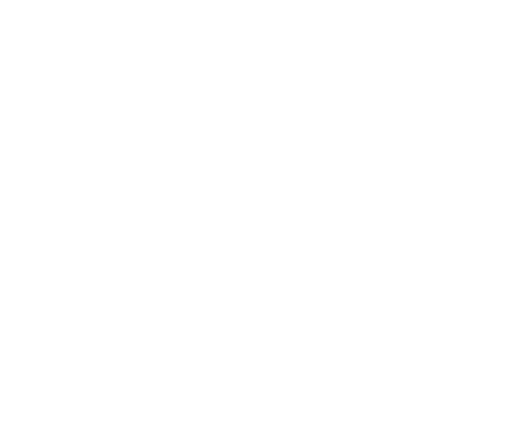 Most dogs, once they fully recover, are returned to where they came from but SDF also found loving homes for 727 anim   