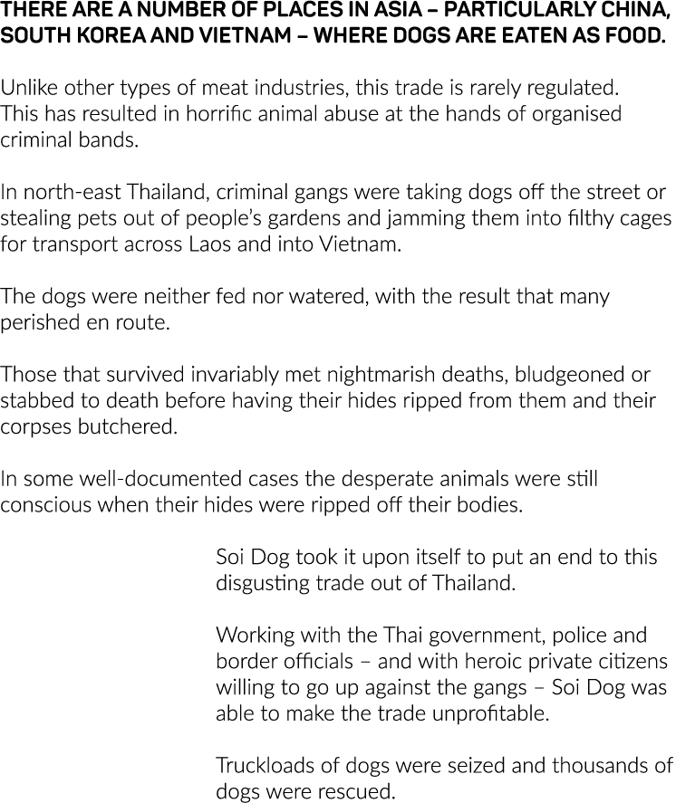 There are a number of places in Asia   particularly China, South Korea and Vietnam   where dogs are eaten as food   U   