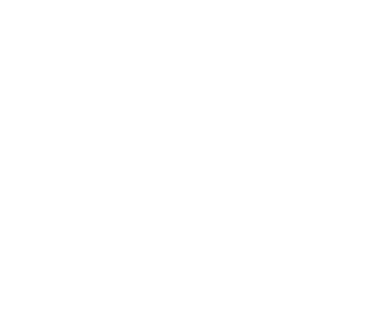 Soi Dog Foundation was the driving force behind the recent promulgation of a new Thai law specifically covering cruel   