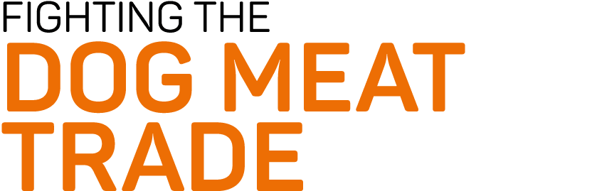FIGHTING THE DOG MEAT TRADE