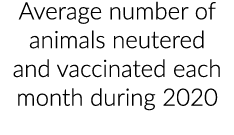 Average number of animals neutered and vaccinated each month during 2020