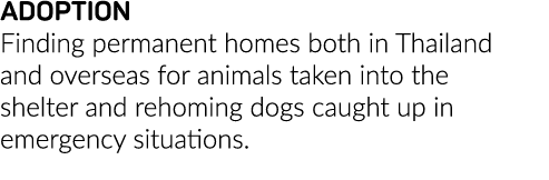 ADOPTION Finding permanent homes both in Thailand and overseas for animals taken into the shelter and rehoming dogs c   