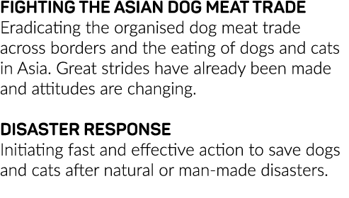 FIGHTING THE ASIAN DOG MEAT TRADE Eradicating the organised dog meat trade across borders and the eating of dogs and    