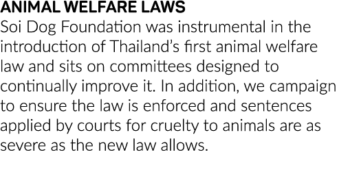 ANIMAL WELFARE LAWS Soi Dog Foundation was instrumental in the introduction of Thailand s first animal welfare law an   