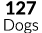 127 Dogs