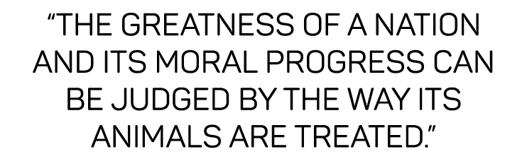  The greatness of a nation and its moral progress can be judged by the way its animals are treated   