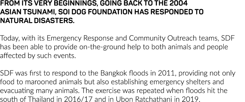 From its very beginnings, going back to the 2004 Asian Tsunami, Soi Dog Foundation has responded to natural disasters   
