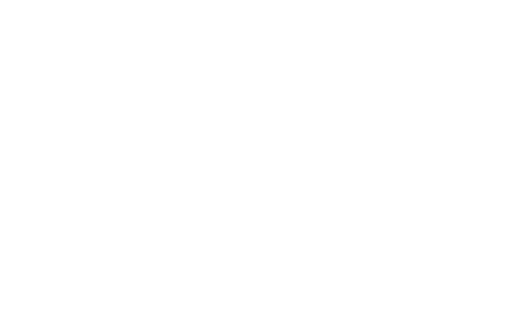 Most dogs, once they fully recover, are returned to where they came from but SDF also found loving homes for 944 anim   
