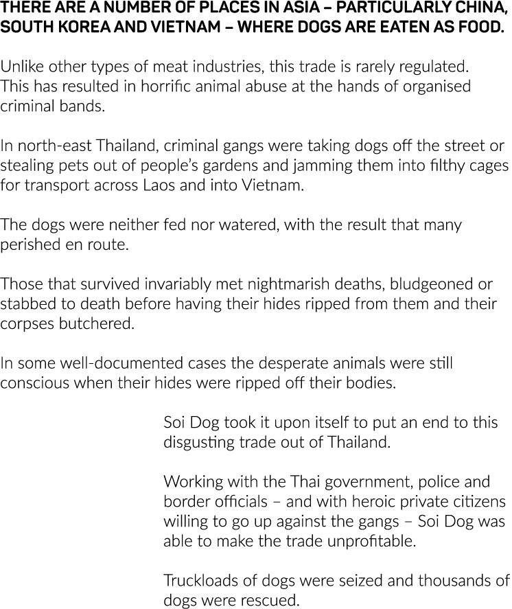 There are a number of places in Asia   particularly China, South Korea and Vietnam   where dogs are eaten as food   U   