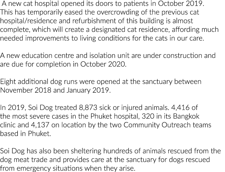  A new cat hospital opened its doors to patients in October 2019  This has temporarily eased the overcrowding of the    