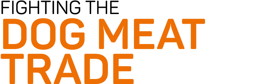 FIGHTING THE DOG MEAT TRADE