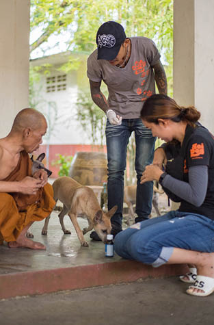 Soi Dog Foundation