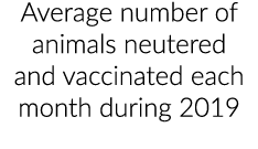 Average number of animals neutered and vaccinated each month during 2019