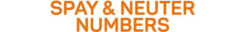 Spay & Neuter numbers