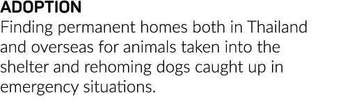 ADOPTION Finding permanent homes both in Thailand and overseas for animals taken into the shelter and rehoming dogs c   