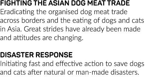 FIGHTING THE ASIAN DOG MEAT TRADE Eradicating the organised dog meat trade across borders and the eating of dogs and    