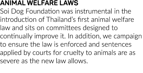 ANIMAL WELFARE LAWS Soi Dog Foundation was instrumental in the introduction of Thailand s first animal welfare law an   